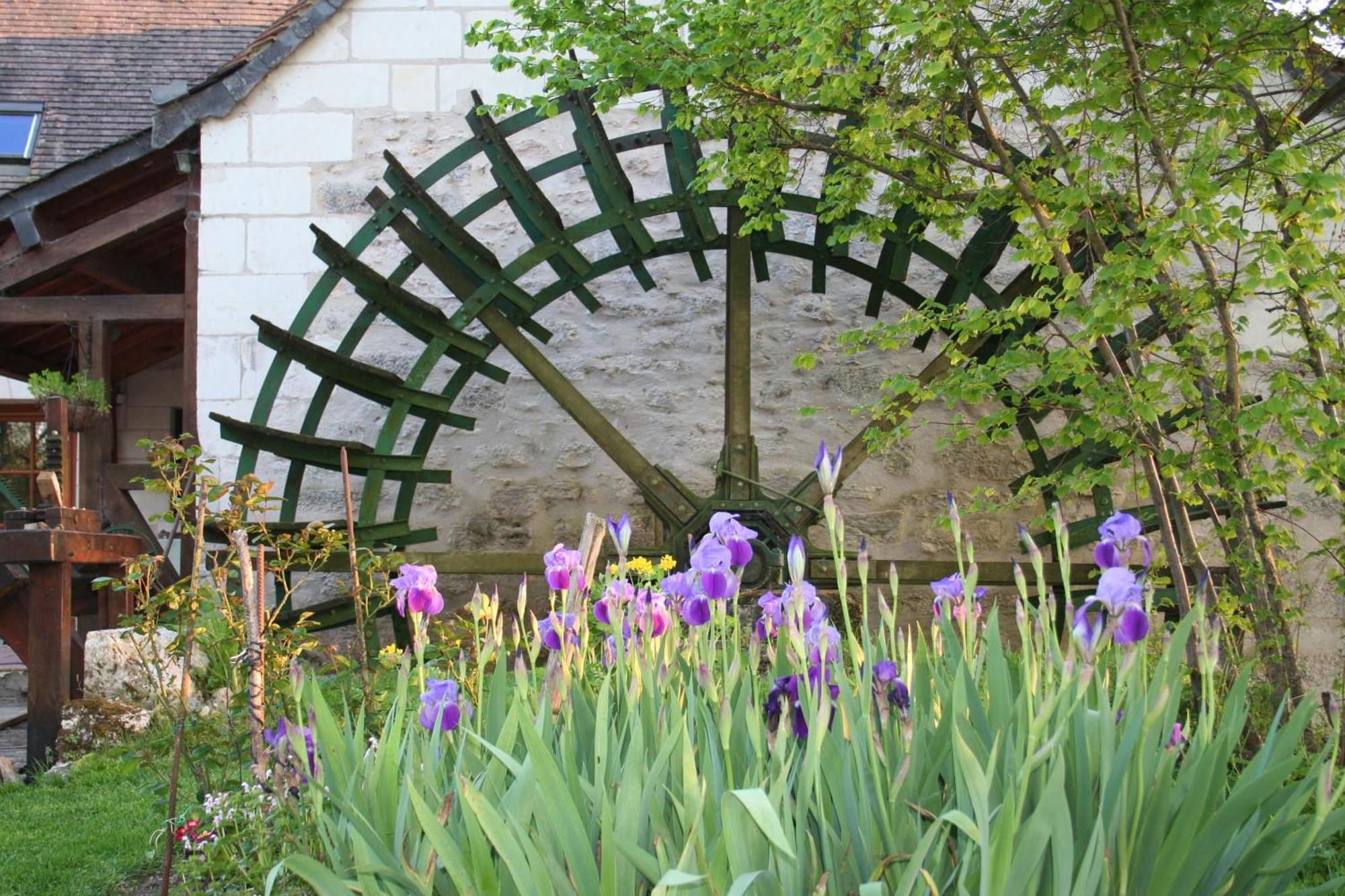Le Moulin Des Foulons Bed & Breakfast Chedigny Exterior photo