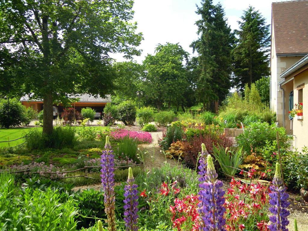 Le Moulin Des Foulons Bed & Breakfast Chedigny Exterior photo