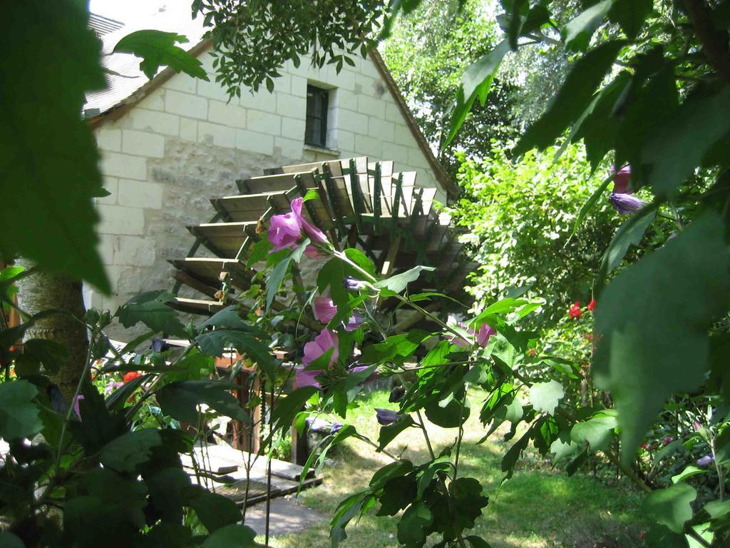 Le Moulin Des Foulons Bed & Breakfast Chedigny Exterior photo